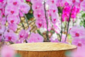 Empty old tree stump table top with blur orchid garden background for product display photo