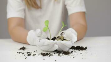 a person in white gloves holding a plant with coins video