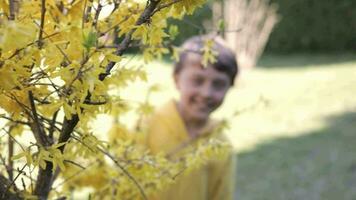 un chico sonrisas como él soportes en frente de amarillo flores video