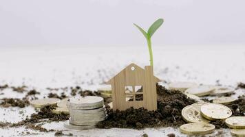 a house, coins and a plant with soil on the table, financial growth concept video