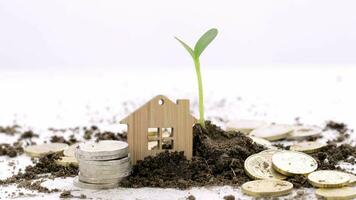 a house, coins and a plant with soil on the table, financial growth concept video