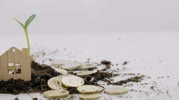 a house, coins and a plant with soil on the table, financial growth concept video