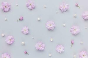 Fresh cherry blossom sakura flowers and white pearls on pastel pink background. Abstract natural floral pattern. Spring concept. Minimalist flat lay, top view photo