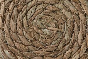 Abstract wicker seagrass basket texture background. Circle spiral pattern. Bottom of natural home storage basket. Close up, circle spiral pattern photo