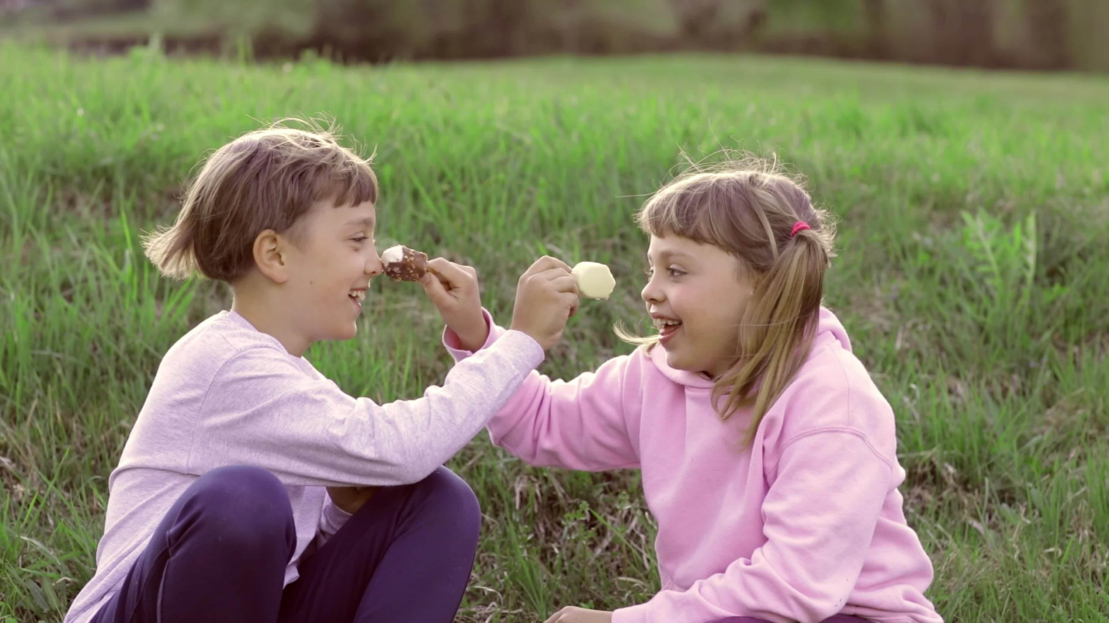 two children eating ice cream in the grass 31705756 Stock Video at Vecteezy