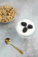 Dessert with yogurt, homemade granola and fresh blackberries, served in trendy patterned clear glass with golden spoon, gray background. Healthy vegan breakfast or snack. Copy space, selective focus photo