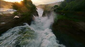 africano natura turbolento fiume uccelli occhio Visualizza video