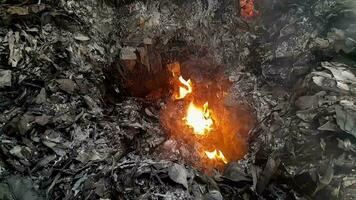 brandend brand in de stortplaats. treedt op rook oorzaak van lucht verontreiniging video