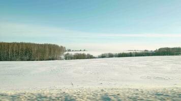 vue de le fenêtre de en mouvement voiture sur couvert de neige des champs et des arbres sur ensoleillé journée video