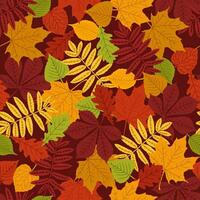 Seamless pattern with maple leaves, Autumn pattern, foliage wrapping paper, pattern fills, Thanksgiving, web page background. vector