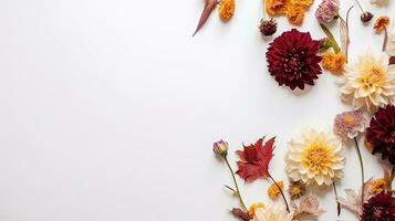 Top view blank card with flowers Abstract organic flowers Blooming floral on white background photo