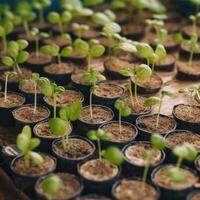 creciendo planta ai generativo foto