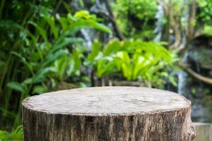 Empty old tree stump table top with blur green tropical garden background for product display photo