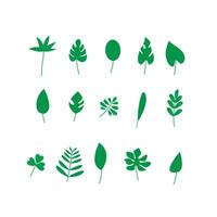 Leaves, trees, home plants vector