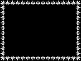 Frame Work Create from Cannabis also known as Marijuana Leaf Silhouette, can use for Decoration, Ornate, Background, Frame, Space for Text of Image, or Graphic Design. Vector Illustration