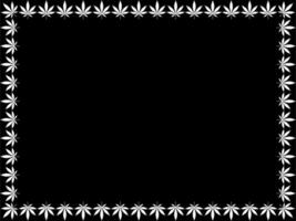 Frame Work Create from Cannabis also known as Marijuana Leaf Silhouette, can use for Decoration, Ornate, Background, Frame, Space for Text of Image, or Graphic Design. Vector Illustration