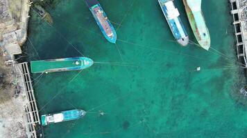 aéreo Visão do pescaria barcos ancorado dentro a Porto video