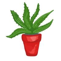 Realistic aloe vera vector illustration on white background,