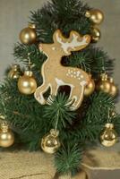 Christmas deer gingerbread cookies decorated with white icing photo