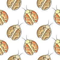 Seamless pattern hand drawn ladybug color version2 vector