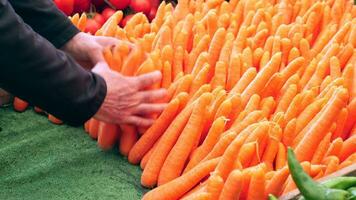 pile carrot displaying at local shop. video