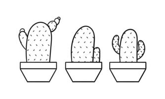 mano dibujado cactus ilustración con Tres diferente cactus formas2 vector