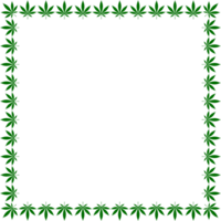 Rahmen Arbeit erstellen von Cannabis ebenfalls bekannt wie Marihuana Blatt Silhouette, können verwenden zum Dekoration, aufwendig, Hintergrund, rahmen, Raum zum Text von Bild, oder Grafik Design. Format png