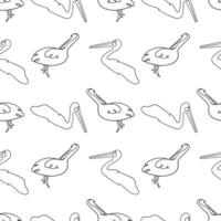 pelican bird line art seamless pattern vector