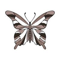 Chocolate butterfly hand sketch outline, isolated, on white background. vector