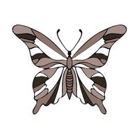 Chocolate butterfly hand sketch outline, isolated, on white background. vector