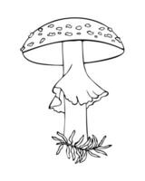 Fly agaric hand sketch. Linear contour vector illustration.