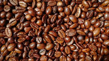 a collection of coffee beans that have just finished roasting photo