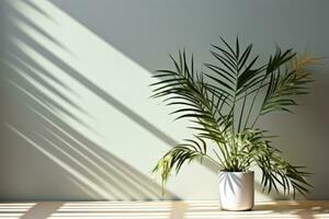 Areca palm isolated on gray background photo