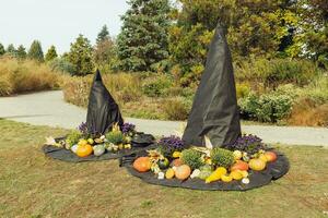 Víspera de Todos los Santos dos grande bruja sombreros con calabazas y flores, Copiar espacio foto