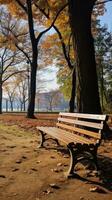 a wooden bench is sitting in the park in late autumn photo