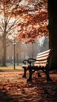 a wooden bench is sitting in the park in late autumn photo