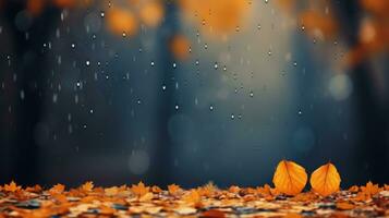 romantic rainy autumn background photo