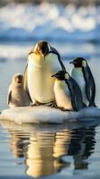 pingüinos anadeando en hielo témpano de hielo foto