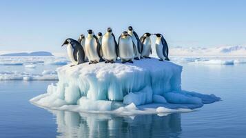 penguins waddling on ice floe photo