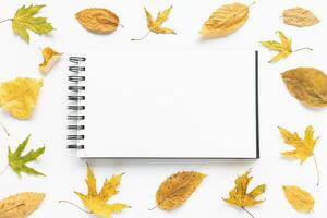 burlarse de arriba. abierto bloc de dibujo o cuaderno en artista escritorio espacio de trabajo, amarillo otoño hojas en blanco antecedentes. creativo concepto, vacío página. parte superior vista, Copiar espacio foto