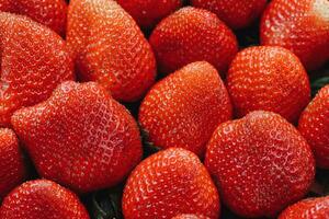 Fresh ripe harvested strawberries in box, closeup photo