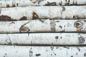 Stack of birch logs wooden background photo