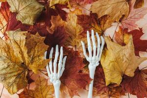 Fall Halloween flat lay with monster skeleton hands on red and yellow leaves, autumn background. Happy Halloween banner mockup. Top view, copy space photo