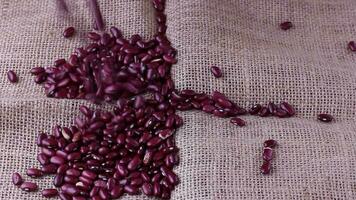 raw red kidney bean seed grains placed on rustic fabric video