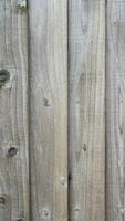 Natural Wood Grain Texture Background photo