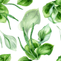 plantago a foglia larga medicinale pianta acquerello senza soluzione di continuità modello. piantaggine, verde foglie, erba, psillio mano disegnato. design per tessile, pacchetto, sfondo, avvolgere. png