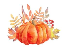 Botanical watercolor illustration of pumpkin and autumn leaves. Garden autumn composition for seasonal holidays, festivals. Halloween, Thanksgiving. Isolated handmade art vector