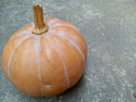 Round yellow pumpkin on the floor. photo