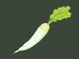 White radish daikon vegetable vector illustration isolated on dark green horizontal background. Simple flat cartoon art styled vegetable drawing.