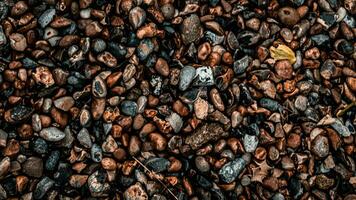 Gritty Texture of Gravel and Stones photo